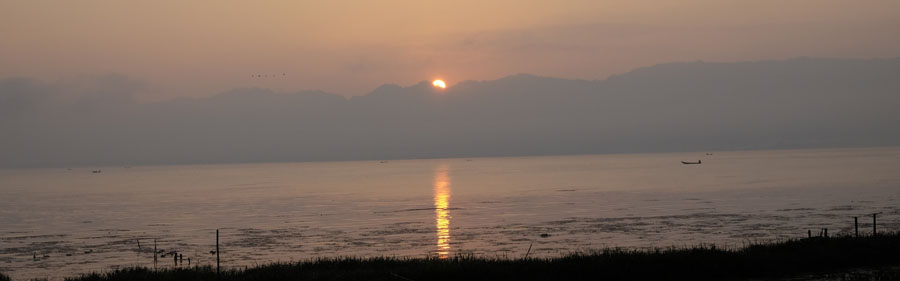 mogok