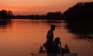 couche de soleil dans la mangrove