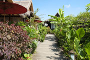 pristine lotus hotel lac inle