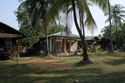 coconut groove maungmagan