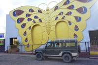 golden butterfly hotel