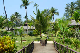 jardin vue du lobby