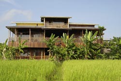 beauty hotel taungoo depuis les rizières