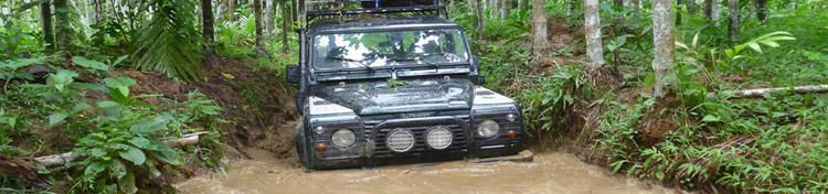 jungle en land rover près de taungoo