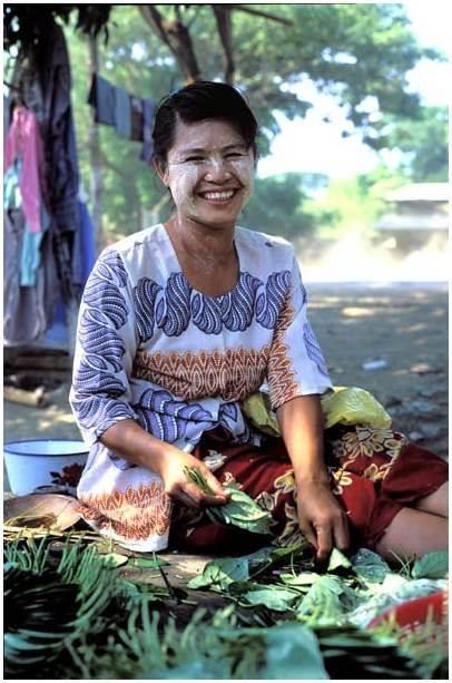 Young woman preparing leaves of betel