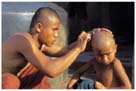 jeune samanera se faisant raser les cheveux au Myanmar, Birmanie