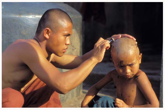 Jeune moine se faisant raser les chevuex en Birmanie