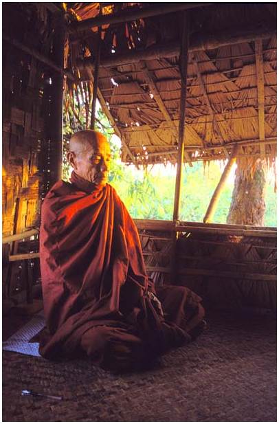 Theravada Buddhist monk  at Bago at the forest monastery (Myanmar)