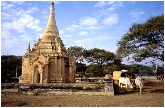 pagode à Bagan