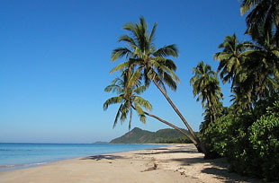 plage amara ocean