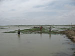 personne à pied dans les rizieres inondées