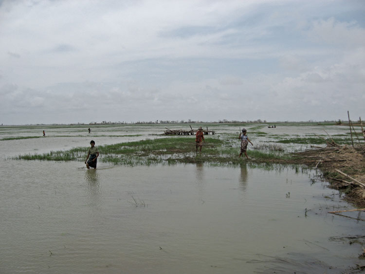 personne marchant dans les rizieres inondés