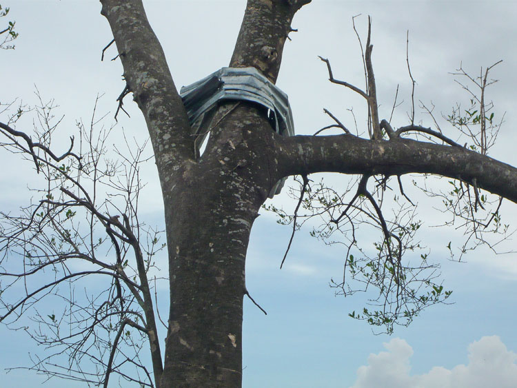 distribution de pillules pour strilisation de l'eau