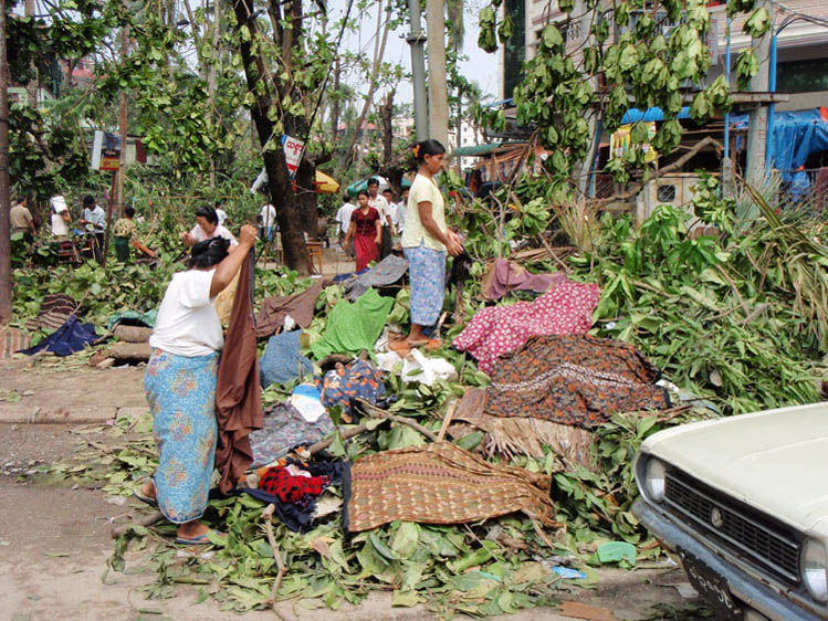 linge qui seche sur des debris d'arbre