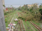 arbres abattus sur la voie ferrée de yangon