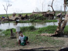 rice field and house destroyed in bokkale