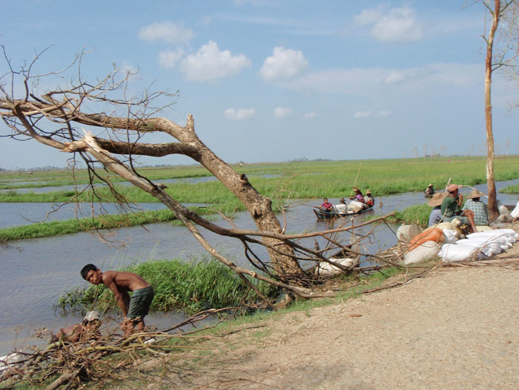 transport riz en pirogue près de bokkalé