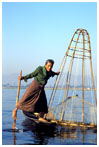 Inle Lake Fisherman