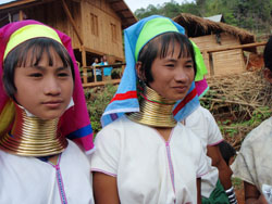 jeunes femmes padaung pendant une cérémonie de mariage