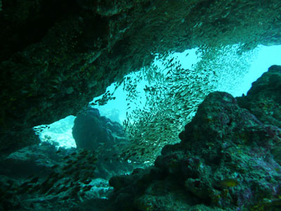 mergui island diving